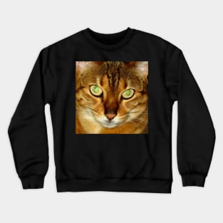 Beautiful Cat- Kumari Crewneck Sweatshirt